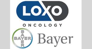 Image result for Loxodera