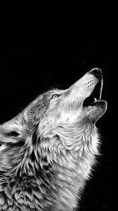 Black And White Wolf Wallpapers Iphone Wolf Wallpapers Pro Wolf Black And White Black And White Wallpaper Animals Black And White