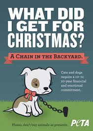 Ads Explain Why Animals Shouldn T Be Given As Gifts Peta Animals Peta Animal Companions