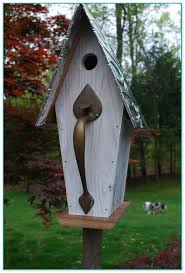 Use the open platform robin and phoebe bird house plans consisting of the floor with a border around it with a piece located in the back for. Cardinal Birdhouse Plans Free 2 Home Improvement