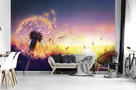 Bei der größe xxl werden die objekte stark vergrößert. Tapeten Zubehor Vlies Fototapete Tapete Wandbild 15f0230320 Pusteblume Natur Wald Blumen Lan Heimwerker Blowmind Com Br