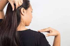 I used a soft baby brush and worked the oil into his scalp really good. Top Uses Of Olive Oil For Hair Femina In