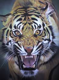 Harimau merupakan salah satu satwa yang dilindungi. Predator By Artists99 On Deviantart Fotografi Hewan Lukisan Hewan Ilustrasi Hewan
