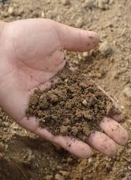 What do we call the best type of garden soil. How To Know Your Type Of Garden Soil Ph Chalky Sandy Or Loamy