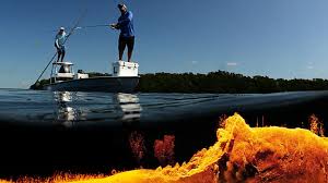 These events require around 700 volunteers who provide . Best Marine Electronics For Fishing Raymarine A Brand By Flir