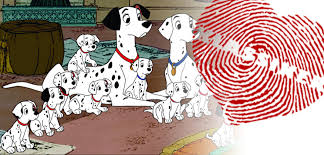 Nachdem disney mit den projekten john carter und lone ranger gnadenlos danebenlag, scheint man sich nun auf die. Wieso Disneys 101 Dalmatiner Fast Ein Ersatz Fur Den Eigenen Hund Sind