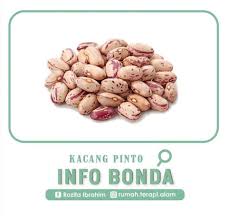Check spelling or type a new query. Kacang Pinto Sejenis Jamu Ratu Malaya Royal V Mustanir Facebook