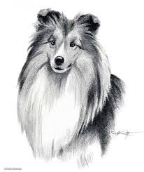 35 Beautiful Dog Drawings And Art Works From Top Artists Pencil drawing of a schaefer did a drawing of a dog last week , and it was so much fun that i decided to do one more. 35 beautiful dog drawings and art works