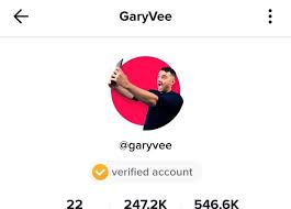 From the lyrics of your favorite songs to some normal information about your personal life. Cool Tik Tok Bio Ideas For Girls