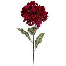 Maybe you would like to learn more about one of these? Silk Hydrangea Flowers Ruby Red Artificial Silk Hydrangeas Shelf Edge Uk