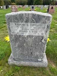 Raymond G. Cardullo (1936-1999)