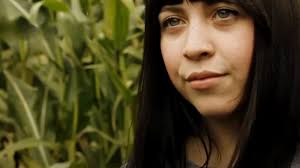 Scott Troyer: Almost Legal