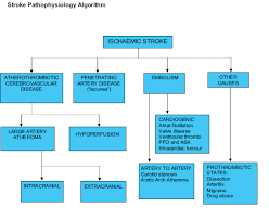 Image result for Stroke Pathophysiology