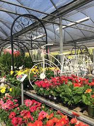 Plant Nursery And Garden Center Tips To Help You Choose The Right Plants Garden Center Plant Nursery Plants