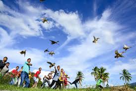 Pacu itiak merupakan olahraga nenek moyang orang payakumbuh yang masih bertahan hingga kebiasaan ini terus terjadi turun temurun, hingga hari ini. Lomba Foto Astra 2018 Pacu Itiak Lombafotoastra2018 Kitasatuindonesia Top300lfa2018