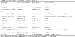 Continue reading to find out more about lung cancer symptoms, what to watch out and listen for. Current State Of Immunotherapy For Non Small Cell Lung Cancer Malhotra Translational Lung Cancer Research