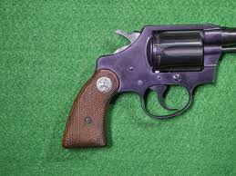 Image result for Rhone Blue 1983 Colt