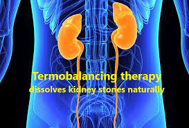 Kidney Stones Surgeries Including Lithotripsy And Pcnl Are Risky While Dr Allen S Device Clears Kidneys Naturally Fine Treatment Reports Globe Stats