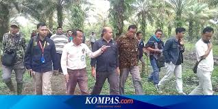 Mimpi melihat harimau, berarti pertanda anda akan mendapat musuh atau pesaing yang memiliki kekuatan atau berbahaya. Cerita Di Balik Suara Auman Harimau Di Kampus Unsri Yang Menghebohkan Halaman All Kompas Com