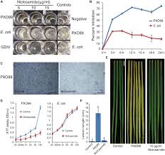 Niclosamid, niclosamide community pharm, niclosamide gpo. Frontiers Niclosamide Blocks Rice Leaf Blight By Inhibiting Biofilm Formation Of Xanthomonas Oryzae Plant Science