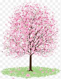 Cherry blossom drawing cherry blossom watercolor watercolor flowers watercolor paintings cherry blossom tattoos cherry blossom hand drawn illustration of the cherry blossom. Cherry Blossoms Tree Cherry Blossom Tree Drawing Cherry Blossom Watercolor Painting Branch Png Pngegg