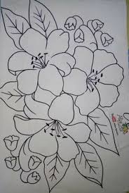 How to draw mango fruit coloring pages for kids. 8 Ide Bunga Sakura Buku Mewarnai Sketsa Bunga Sakura