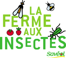 Facebook gives people the power to share and makes the world more open and connected. La Ferme Aux Insectes Saveol Nature Recreatiloups Finistere