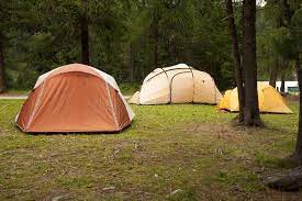 camping tents in a green grass affiliate tents camping grass green ad what to bring camping tent tent camping