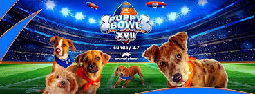 We did not find results for: Don T Worry There Will Still Be A 2021 Puppy Bowl