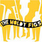 The Moldy Figs Swing Band
