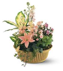 Floral design for beautiful brides. Scott Walker Obituary 2018 Grand Junction Co The Daily Sentinel