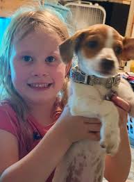 Skye attacking the snow. She doesn't get to do this very much living in the  south.