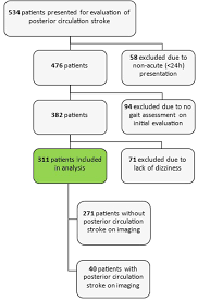 Image result for Posterior Circulation