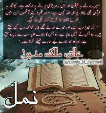 Bayshak Quotes From Novels Namal Novel Urdu Quotes Images