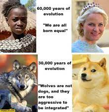 Humans 60 000 Years Of Evolution We Are All Born Equal Dogs Wolves 30 000 Years Of Evolution They Are Too Agressive To Be Integrated Starecat Com