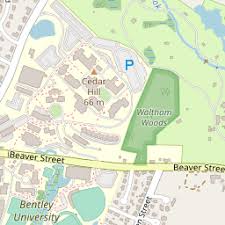 Lena A Adourian, (617) 893-3524, Waltham, MA — Public Records Instantly