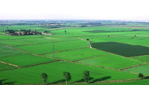 I paesaggi naturali e antropici classe seconda maestra. Pianure Del Nord Del Centro E Del Sud Descrizione Generale