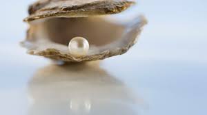 Just like the shell of a mollusk, a pearl is composed of calcium carbonate (mainly aragonite or a mixture of aragonite and calcite) in minute crystalline form, which has deposited in concentric layers. What Is A Pearl