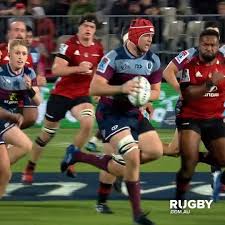 Wilson made his super rugby debut in 2020 and had an incredible debut season which saw him play every game for the reds in the super rugby. Rugby Com Au Harry Wilson Reds Reel Facebook