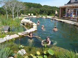 Why Natural Pools Are Better Than Traditional Pools Natural Swimming Ponds Natural Swimming Pools Swimming Pond