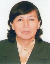 Directorio de Recursos Humanos afines a la CTI