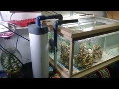 14 Filter Aquarium Dari Paralon Bekas How To Make Aquarium Filters Youtube Di 2020 Akuarium Aquarium Filter