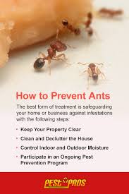 Finding ants in the home is very common. Ant Pest Control Extermination Services In Cape Cod