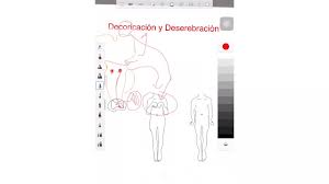 Decorticacion Y Descerebracion Fisiopatologia Youtube Síndrome de descerebración lesión bilateral de núcleo rojo o por.