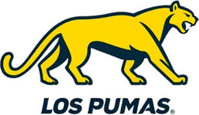 Argentina national rugby union team - Wikipedia