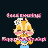So, forget the bed and get ready to run. Wednesday Morning Gifs Get The Best Gif On Giphy