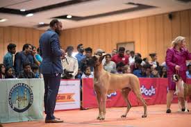 Get healthcare at your doorstep, bedside attendant at home, baby care, on call call us : India S Largest Exhibition On Pet Care To Be Held In Hyderabad