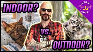 Shop our complete collection of jackson galaxy products at petsmart. Should You Walk Your Cat Youtube