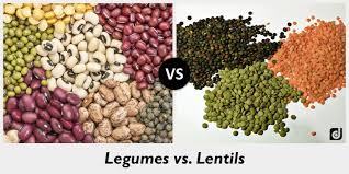 Difference Between Legumes And Lentils Legumes Lentils Asparagus Beans