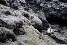 Image result for Erica kingaensis